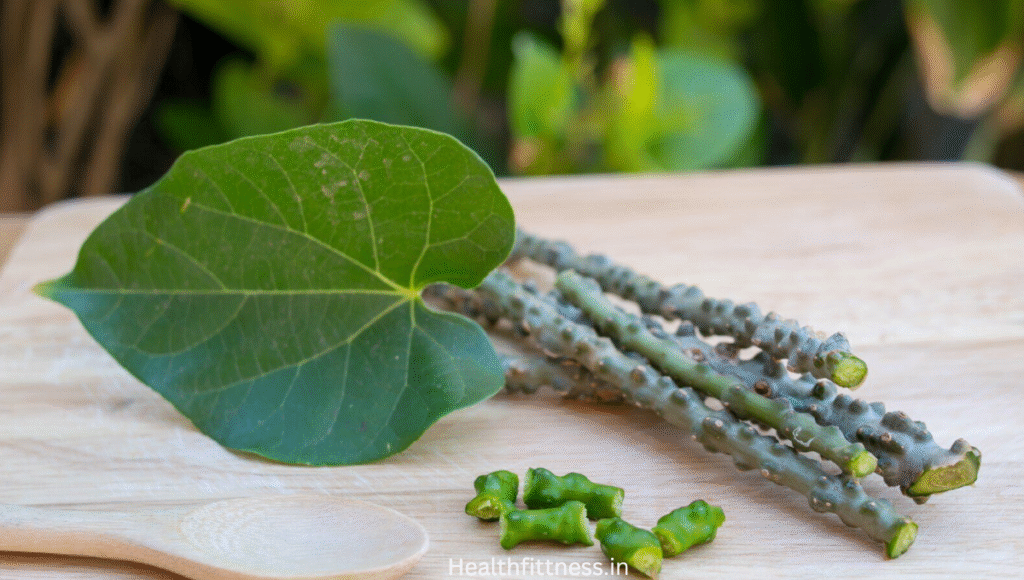 Giloy Skin Care: सिर्फ सेहत ही नहीं चेहरे के लिए भी है बेहद फायदेमंद