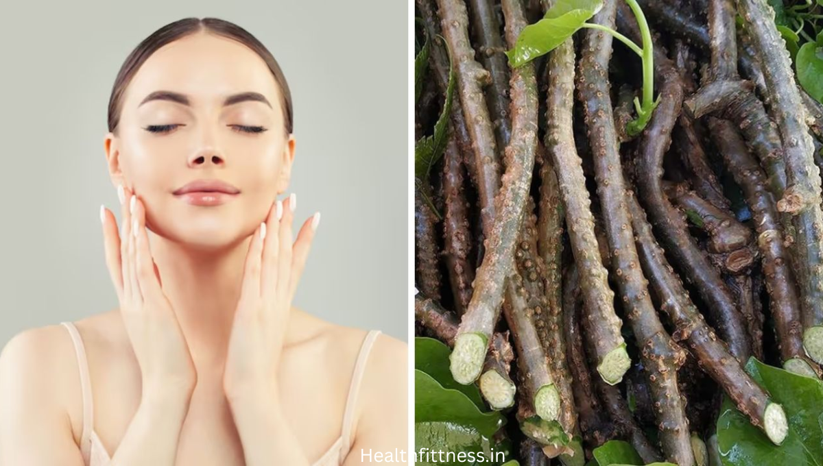 Giloy Skin Care: सिर्फ सेहत ही नहीं चेहरे के लिए भी है बेहद फायदेमंद